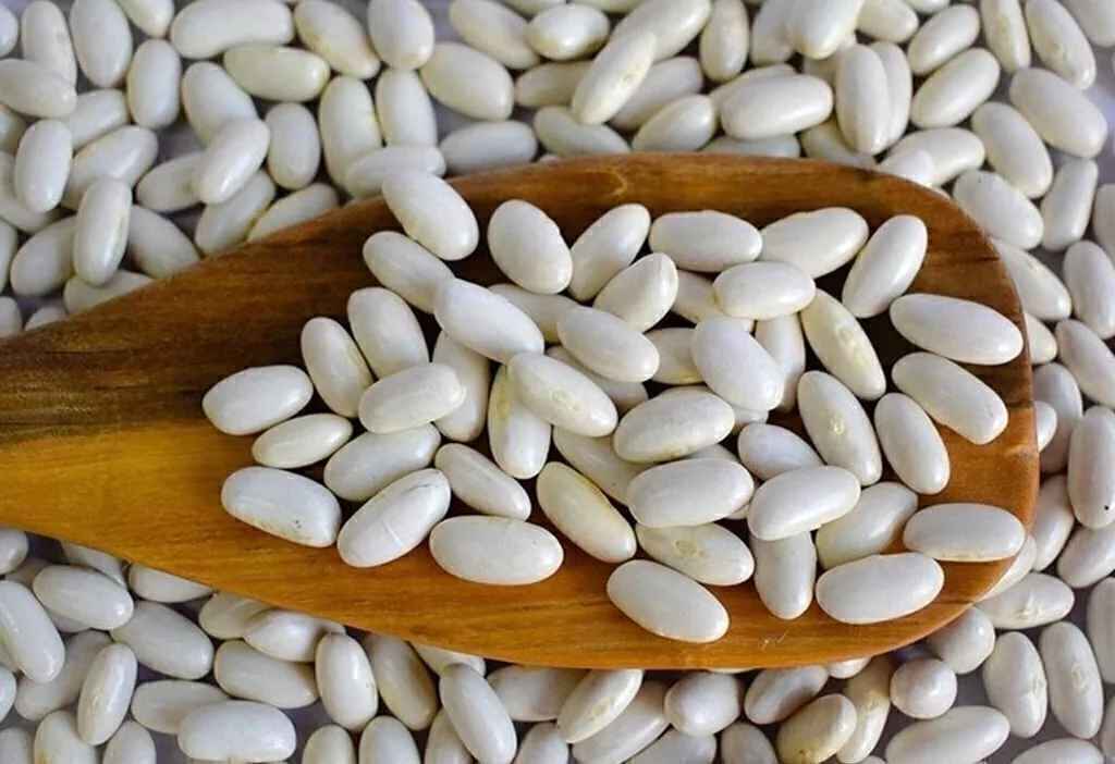 Porotos alubia