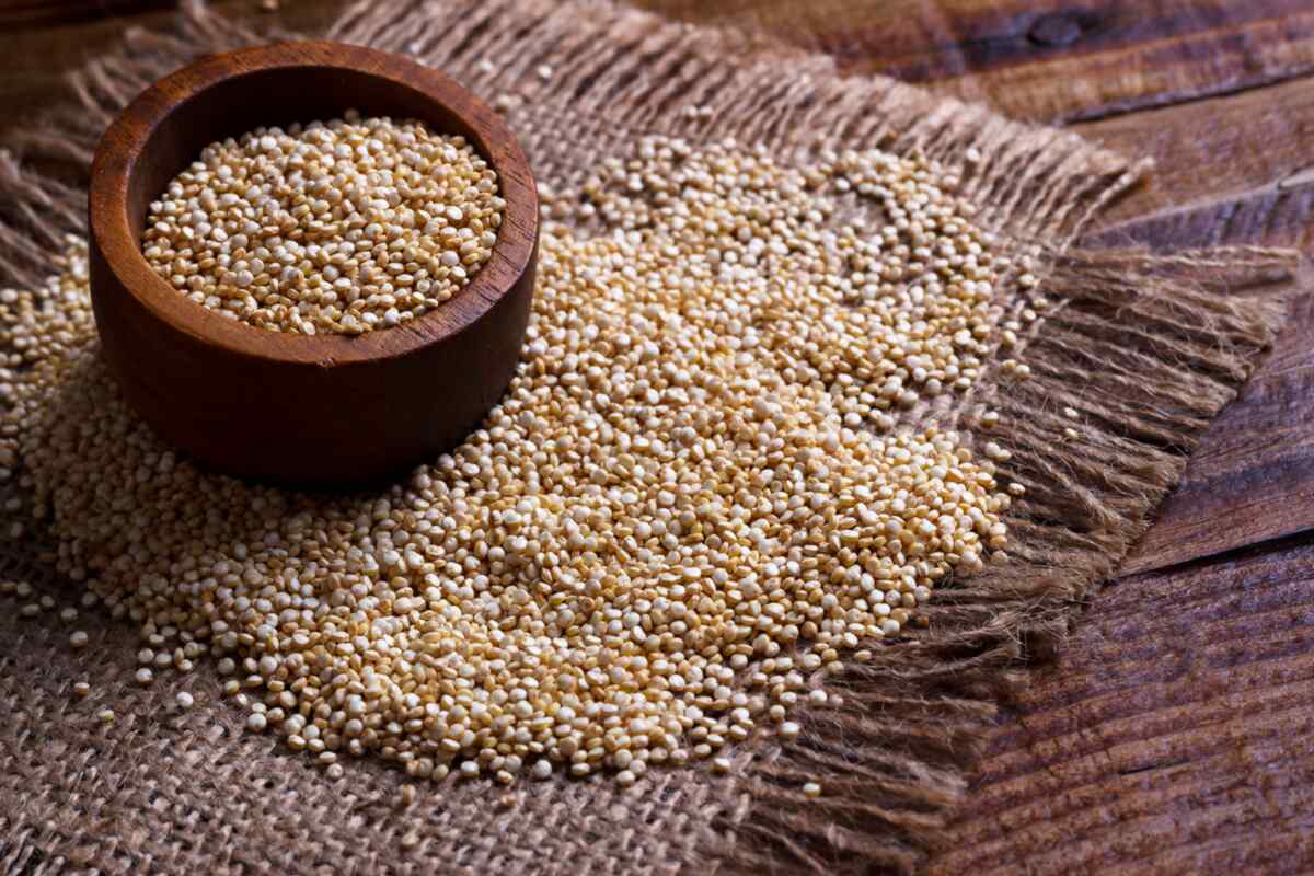 Quinoa